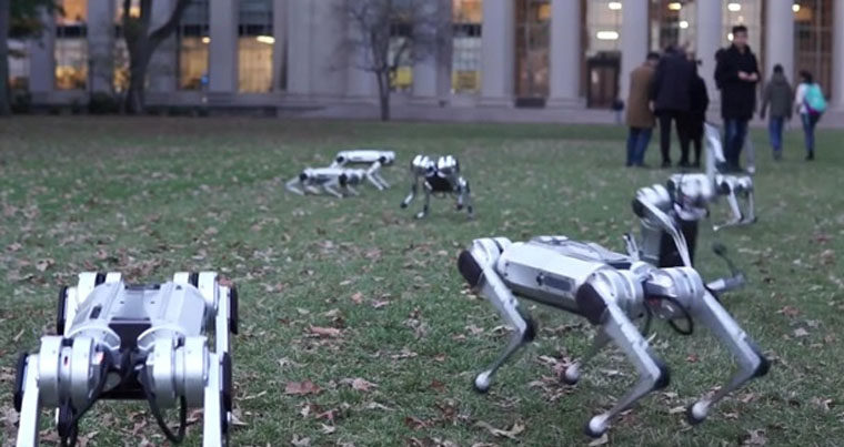 В США собак-роботов выгуляли в парке
