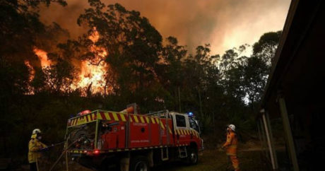 Более 680 домов уничтожены в Австралии из-за лесных пожаров