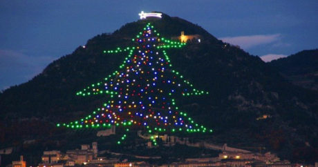 Крупнейшую в мире новогоднюю елку зажгли в Италии