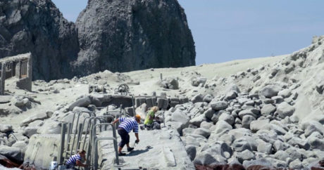 В Новой Зеландии спасатели обнаружили тела жертв извержения вулкана