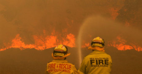 Дым от лесных пожаров в Австралии достиг Мельбурна