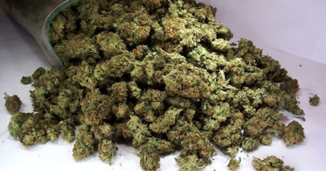 На Багамах могут легализовать употребление марихуаны