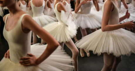 Балерины Парижской оперы станцевали в знак протеста пенсионной реформы — ВИДЕО