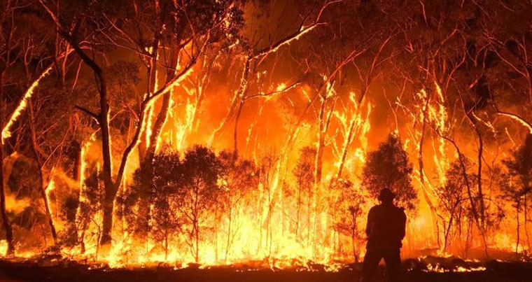 Австралия горит: лесные пожары побили мировые рекорды — ФОТО