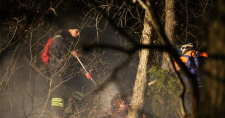 В Атенском ущелье в Грузии ликвидировали почти все лесные пожары