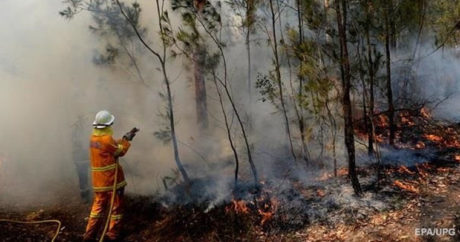 Из-за пожаров в Австралии эвакуировали 30 тысяч туристов