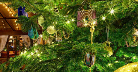Стало известно, где установлена самая дорогая в мире рождественская елка —  ФОТО