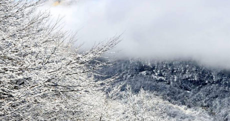 В горных и предгорных районах уменьшилось число морозных, снежных дней