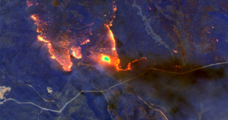 Лесные пожары в Австралии: впечатляющие фото со спутника — ФОТО