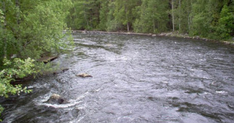 В нижнем течении реки Кура отмечено понижение уровня воды