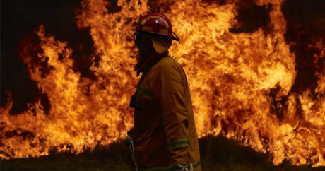 Дым от пожаров в Австралии достиг Чили и Аргентины