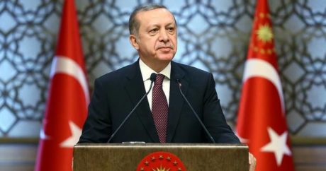 Эрдоган: TANAP превратил Турцию в энергетических хаб