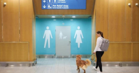 Туалеты для собак заработали в аэропорту в Финляндии
