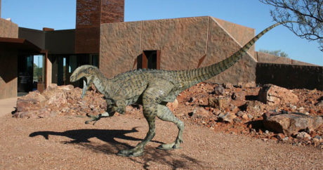 Найдены останки самого крупного динозавра