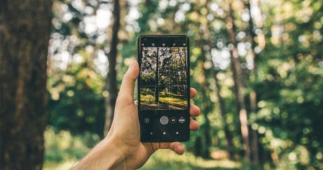 В Азербайджане со смартфонов можно будет наблюдать за ситуацией в лесах