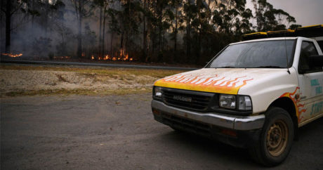Ливни потушили горевший 74 дня лес в Австралии