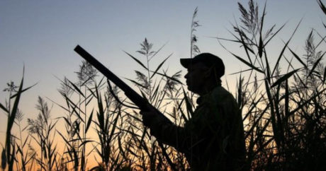 Минэкологии Азербайджана: Большая часть общества одобряет запрет охоты
