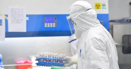 ВОЗ: страны должны срочно повысить свою готовность отразить коронавирус
