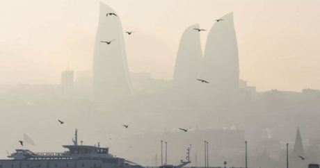 Названа причина густого тумана в Баку
