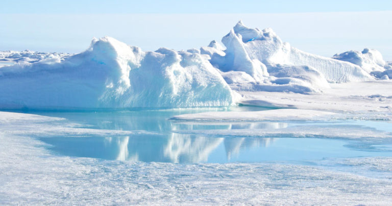 В Антарктиде зафиксировали температурный рекорд