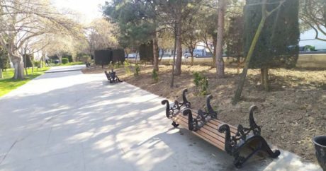 В связи с коронавирусом в парках убрали скамейки — ФОТО