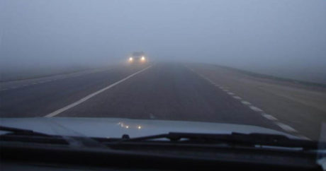 В связи с туманом на автомагистралях Баку снижена скорость движения