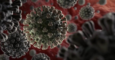 В США начнутся клинические испытания вакцины против коронавируса