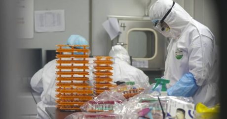 Число заразившихся коронавирусом в Чехии превысило 3 тысячи