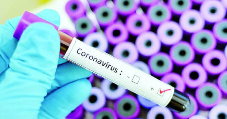 В Беларуси возросло число заразившихся коронавирусом