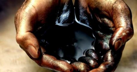 Автандил Мамедов: «Коронавирус ускорил процесс превращения нефти в обычный товар»