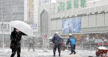 В Токио впервые за 10 лет в конце марта выпал снег