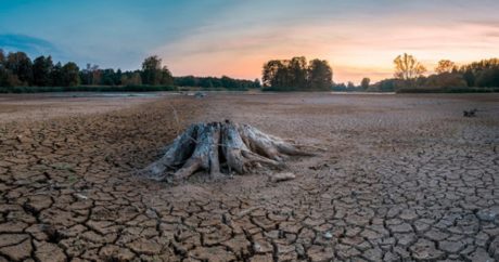 В Чехии зафиксировали сильнейшую за 500 лет засуху