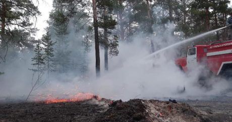 В Казахстане третьи сутки тушат пожар в охраняемой природной зоне — ВИДЕО