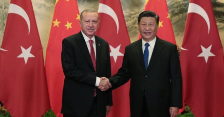 Лидеры Турции и КНР провели телефонный разговор