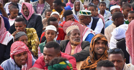 Из-за полчищ саранчи жителям Эфиопии грозит голод