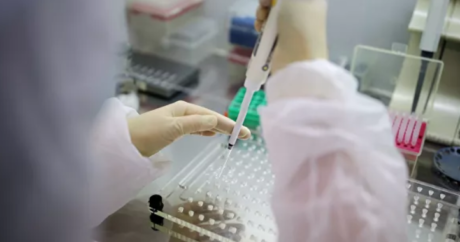 Стало известно количество проведенных тестов на коронавирус в Азербайджане