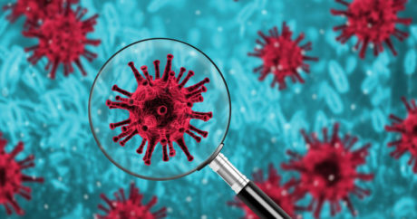 В британской разведке назвали версии возникновения коронавируса