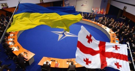 Эксперт: «Грузия и Украина не прекратят продвижение по пути евроинтеграции»