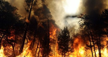 Лесные пожары охватили Россию — Видео