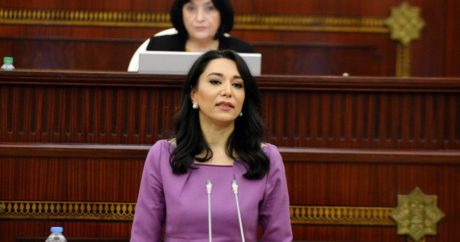 Милли Меджлис Азербайджана принял отчет Омбудсмена