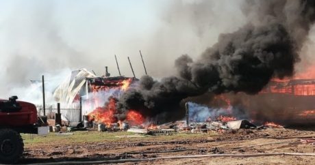 При пожаре на башкирской ферме погибли больше 200 животных