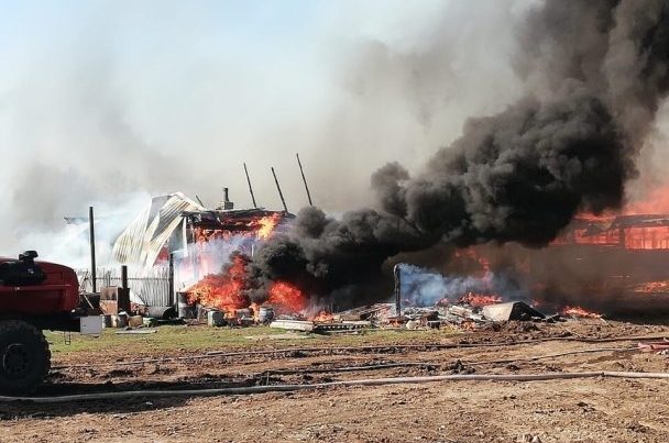 При пожаре на башкирской ферме погибли больше 200 животных