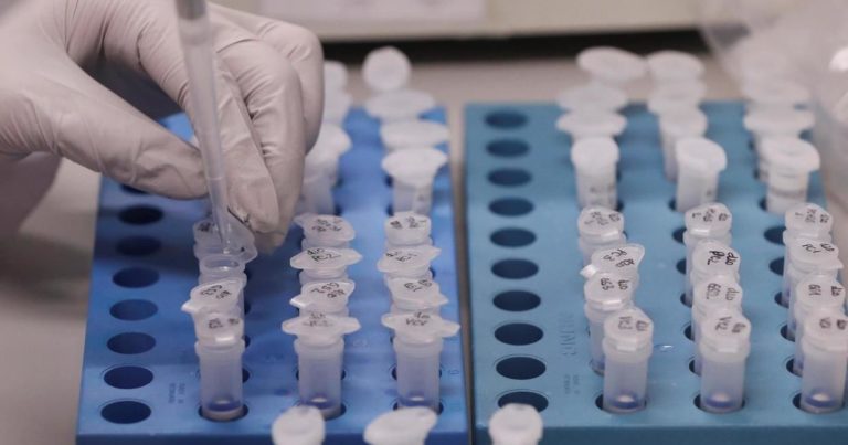 Клиника разработала первый генетический тест на коронавирус
