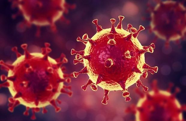В Азербайджане зарегистрировано 2 392 новых случая заражения коронавирусом, 31 человек умер