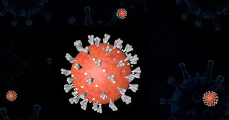 Ученые обнаружили, что коронавирус мутирует