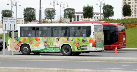На пригородных маршрутах Баку появятся новые автобусы