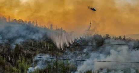 Режим ЧС ввели в лесах Камчатки из-за 36 пожаров