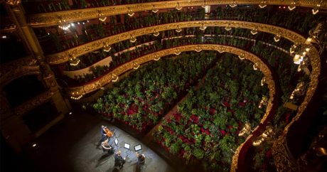 Оперный театр Барселоны даст концерт для растений — ВИДЕО