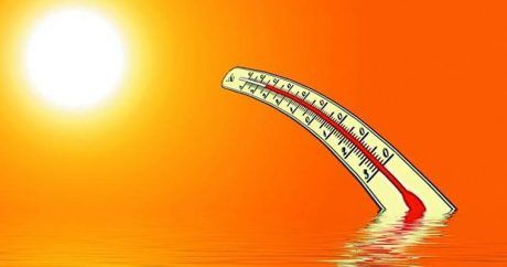 В субботу в Азербайджане ожидается 42 градуса жары
