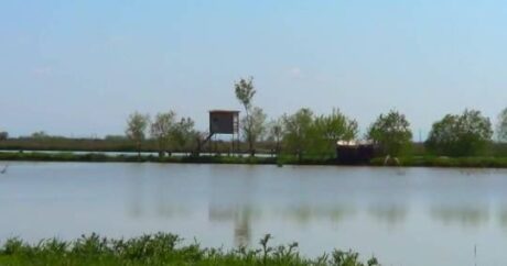 Для повышения водности Миль-Муганского канала используется озеро в Имишли